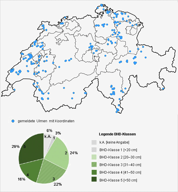 Gemeldete Ulmen mit potentieller Toleranz 2016–2017
