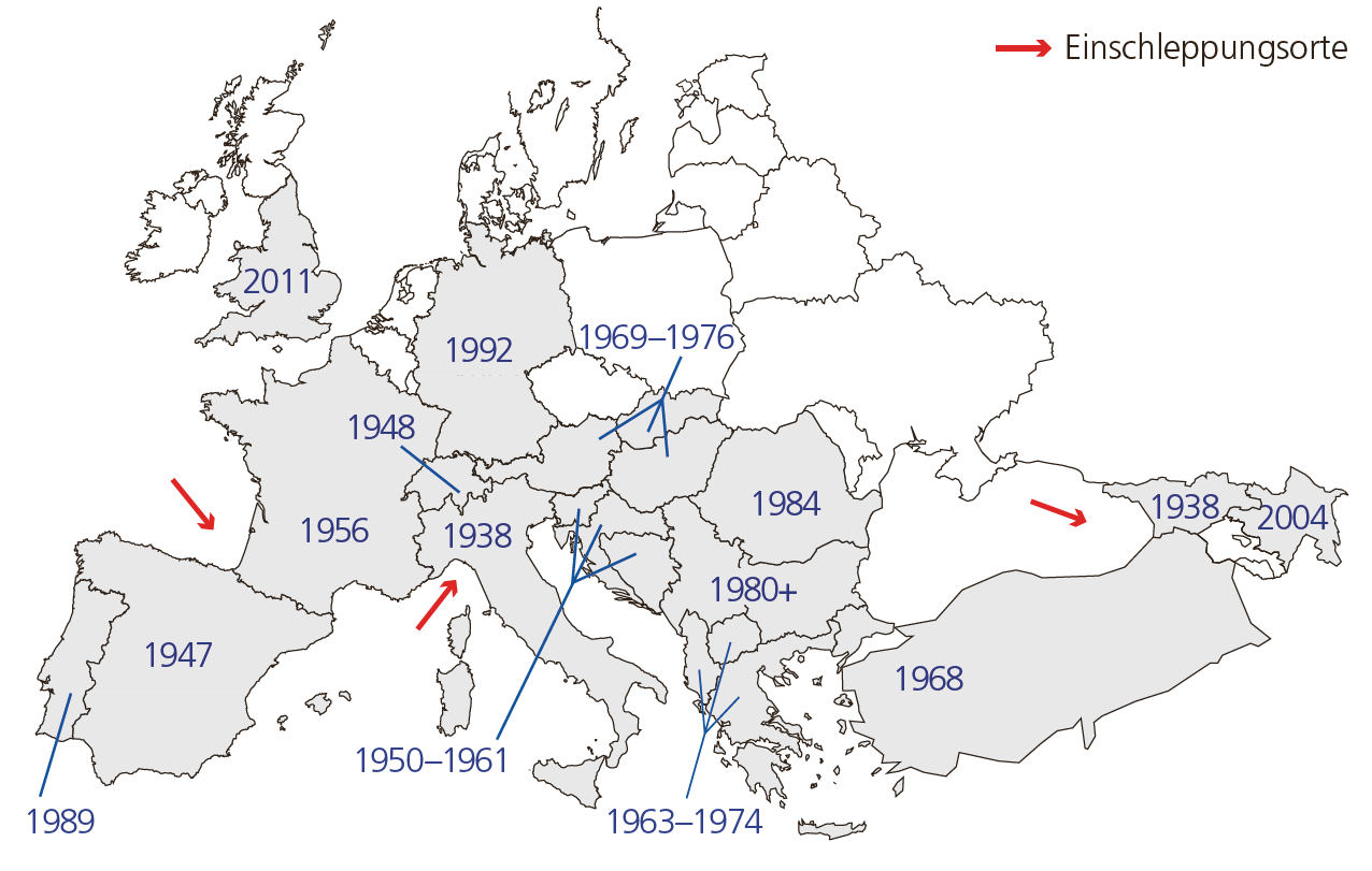 Vorkommen des Kastanienrindenkrebses in Europa