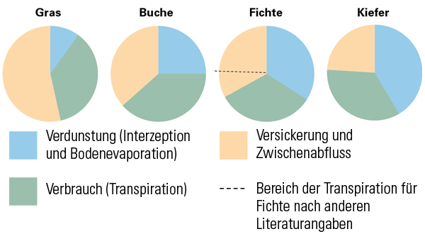 Abbildung 1: Durchschnittliche Kenn­werte zum Wasserumsatz von Grasvegetation und Baumbeständen. Die Angaben basieren auf Zimmermann et al. (2008) und Müller (2013)