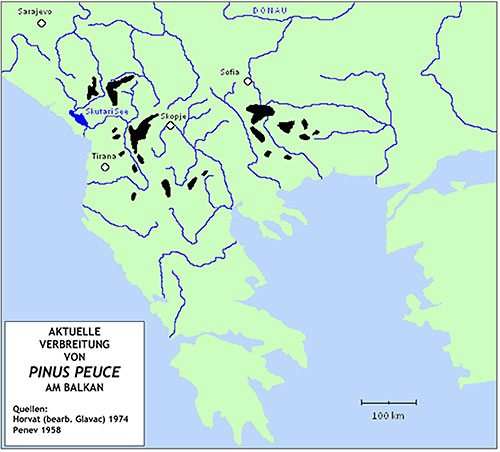 Verbreitung Pinus Peuce am Balkan
