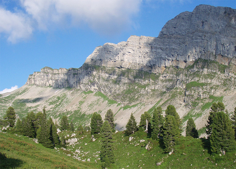 Les Alpes du nord comptent des arolières isolées