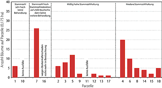 Abb. 3: Anzahl der ausgefallenen Bäume