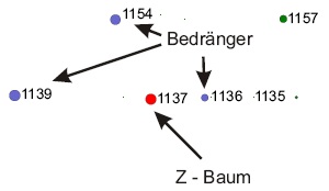 Eichendurchforstungsversuch: Schrauben an der Jahrringbreite