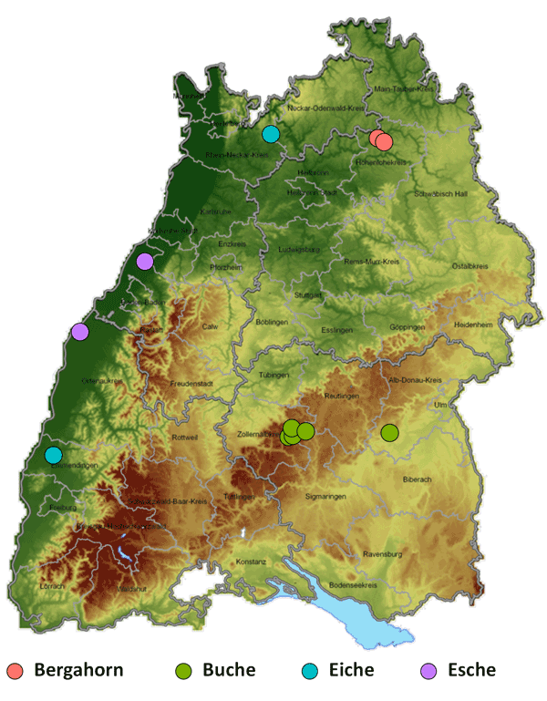 Lage der Astungsversuche in Baden-Württemberg.