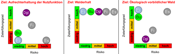 Zielerfüllung unterschiedlicher Baumarten (schematische Darstellung)