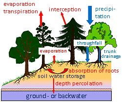 hydrological balance