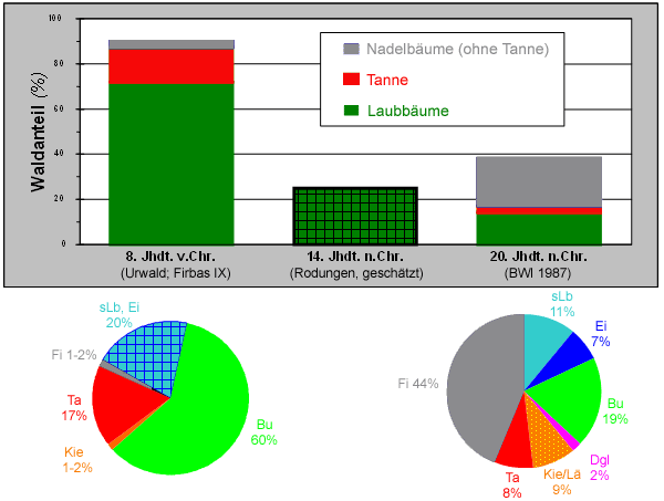 Entwicklung der Waldfläche und Baumartenanteile in Baden-Württemberg