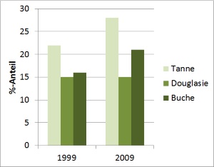 Waldentwicklungsziel Douglasienmischwald: Flächenanteile der Verjüngung