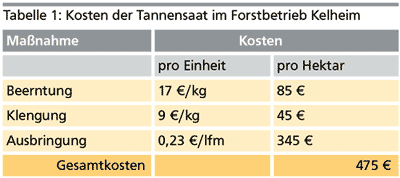 Kosten der Tannensaat in Kelheim