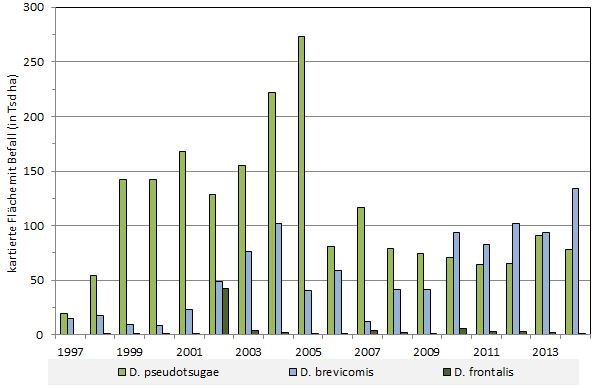 Befallsaktivität verschiedener Borkenkäferarten in den USA: Dendroctonus pseudostugae, D. brevicomis, D. frontalis.