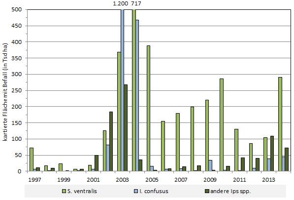 Befallsaktivität verschiedener Borkenkäferarten in den USA: Scolytus ventralis, Ips cofusus, sonstige Ips-Arten