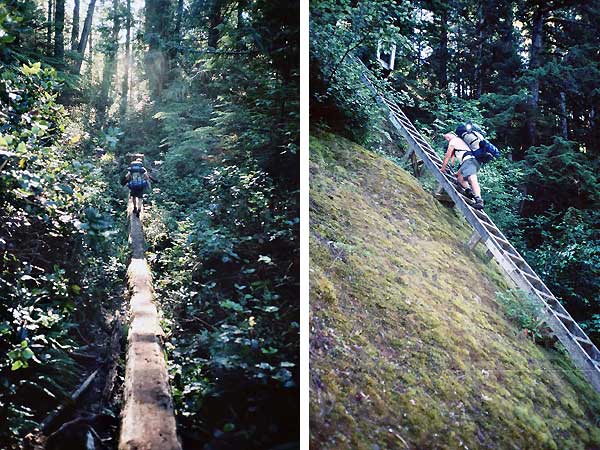 Der West Coast Trail lässt Abenteurerherzen höher schlagen.