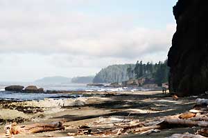 West Coast Trail: Küstenlandschaft I