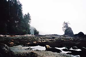 West Coast Trail: Küstenlandschaften III