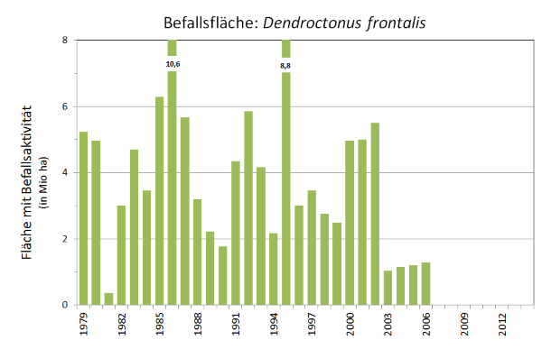 Befallsaktivität durch Southern pine beetle im Süden der USA