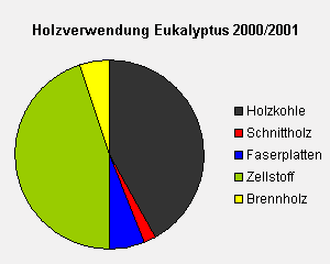 Holzverwendung der Eukalypten in Brasilien