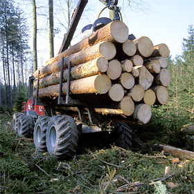 Schweiz: Holzernte erreicht Zehnjahrestief
