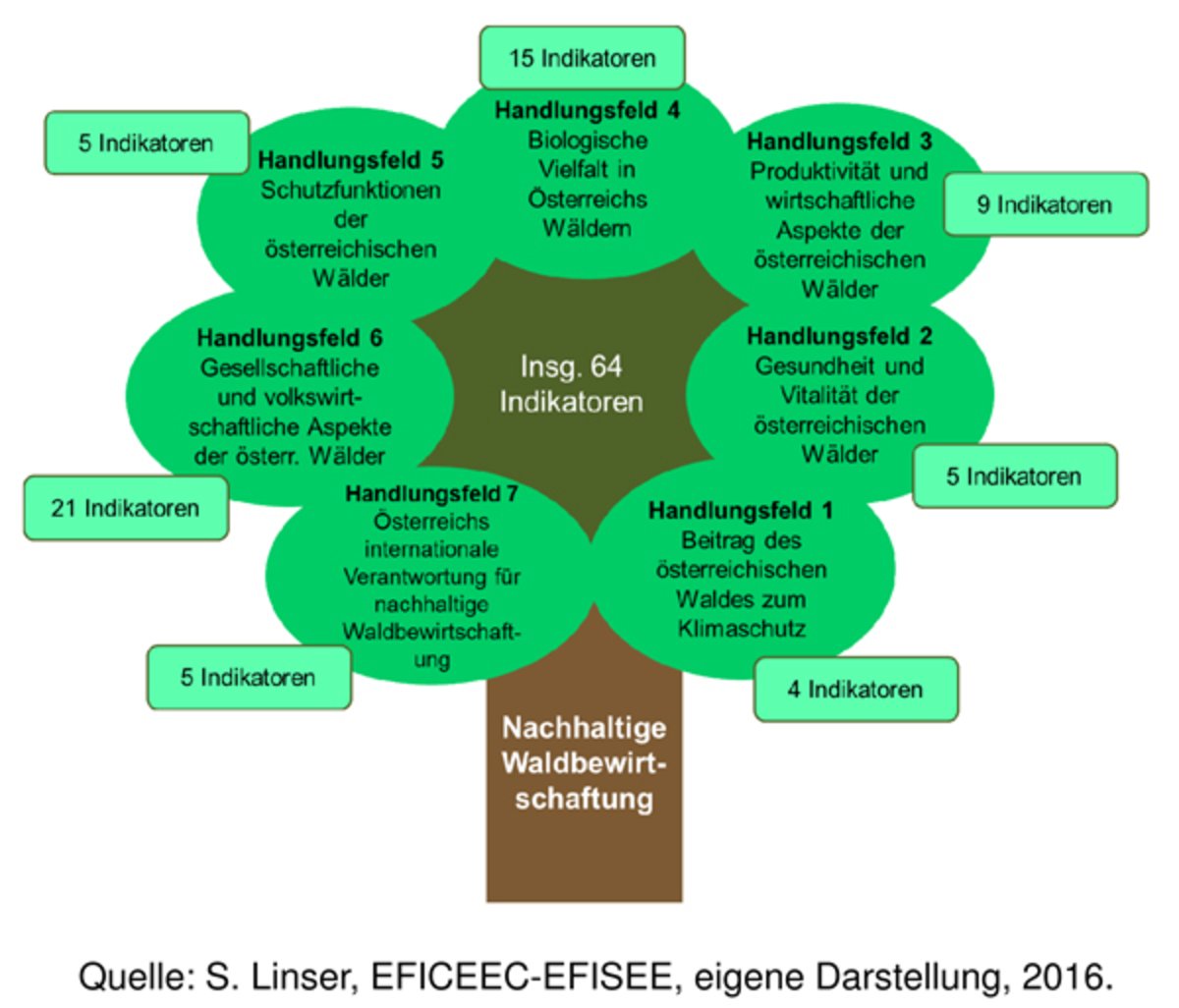 Genese der Indikatoren für nachhaltige Waldbewirtschaftung in Österreich