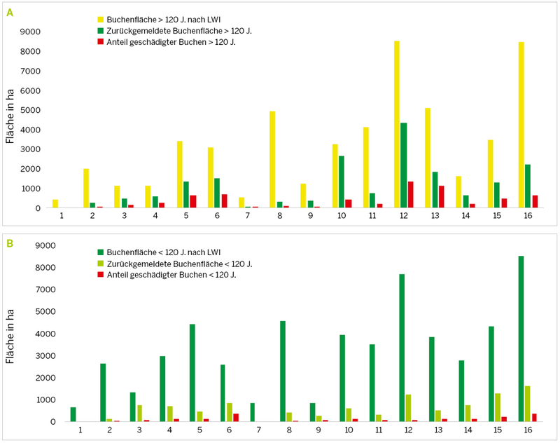 Gesamtbuchenfläche NRW