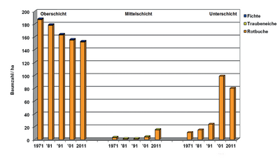 NWZ 4 "Wiegelskammer", Strukturdiversität und Baumartenanteile 1971 bis 2011