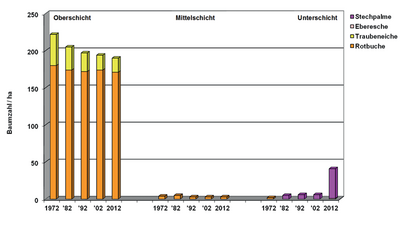 NWZ 15 "Steinsieperhöh", Strukturdiversität und Baumartenanteile 1972 bis 2012
