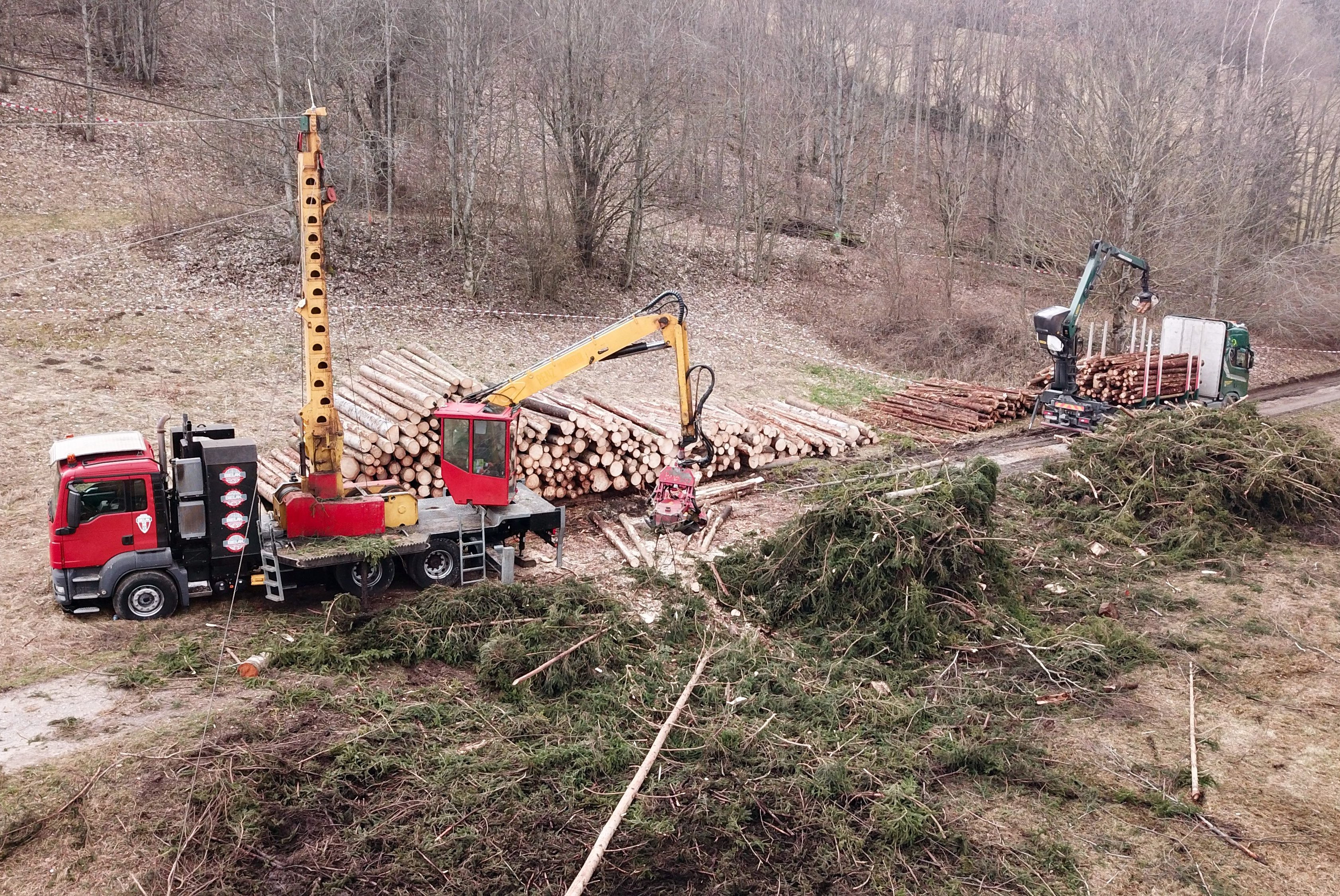 Seilkräne bei der Holzernte
