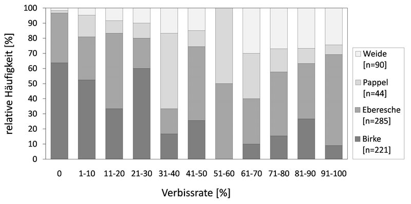 Balkendiagramm zur Darstellung der relativen Häufigkeit verbissener Individuen [%] in den einzelnen Verbissklassen (=Verbissprozente an den Individuen), getrennt nach den Baumartengruppen