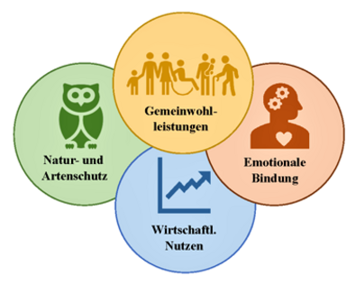 Multitalent Wald