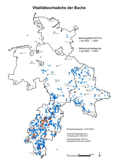 Karte von Schleswig-Holstein, Niedersachsen, Hessen und Sachsen-Anhalt mit Vorkommen der Vitalitsschwäche der Buche