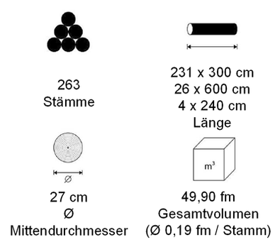 Parameter Birkenstämme