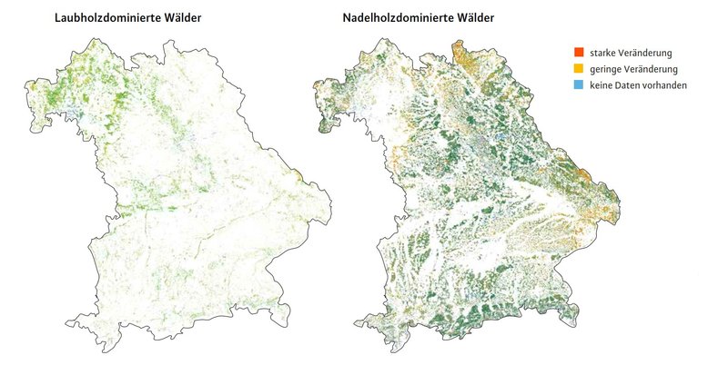 Bayernkarten, die die Veränderung von Laub- und Nadelwäldern zwischen 2019 und 2020 zeigen