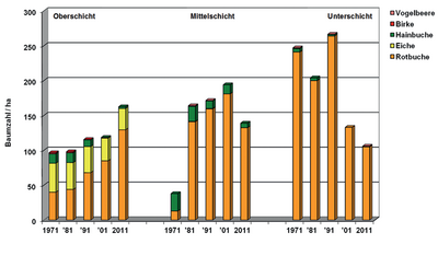 NWZ 13 "Rehsol", Strukturdiversität und Baumartenanteile 1971 bis 2011
