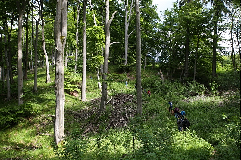 Quellenwanderung