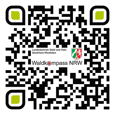 QR-Code Waldkompass
