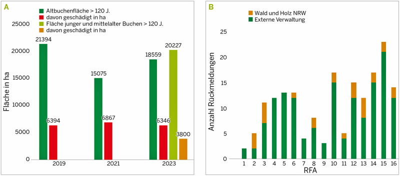 Zurückgemeldete Altbuchenflächen