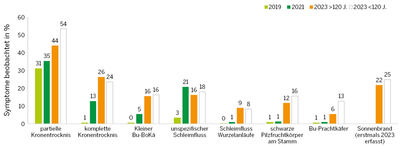Zeitlicher Verlauf der beobachteten Schadsymptome und Schadorganismen an der Buche