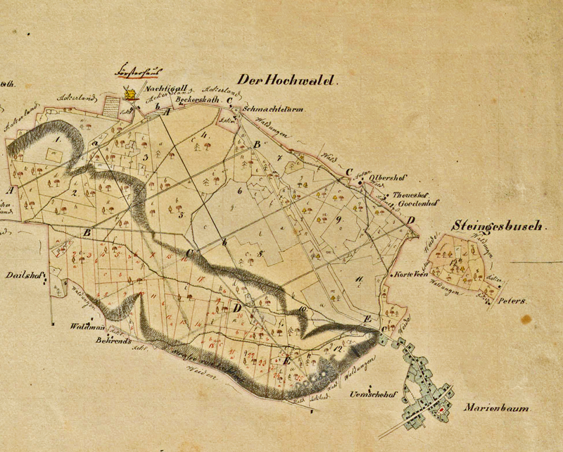 Karte Revier Hochwald