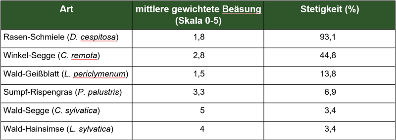 Krautige, auwaldtypische Pflanzenarten
