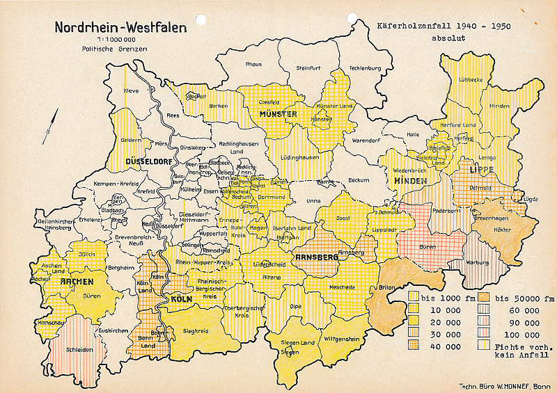 Übersichtskarte Käferholzanfall