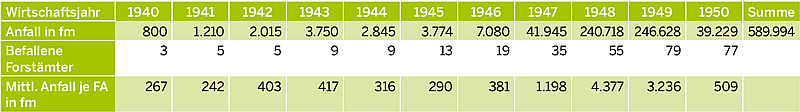 Tabelle Käferholzanfall