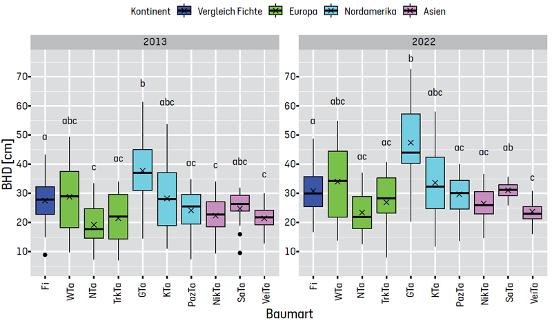 Erreichter BHD pro Baumart pro Vegetationsjahr