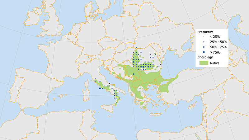 Verbreitungsgebiete der Ungarischen Eiche 