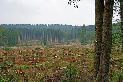 Blick auf das Hevetal