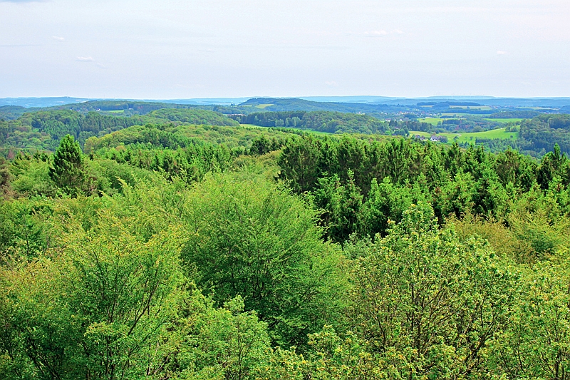 Standortgerechte und strukturierte Mischbestände in NRW 