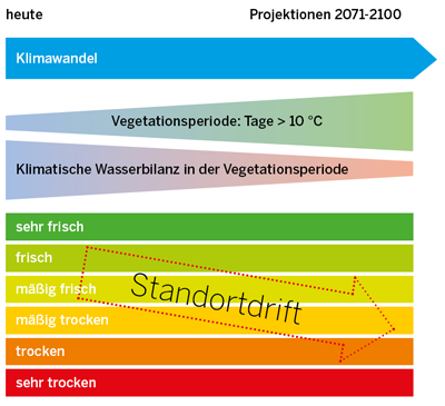 Schematische Darstellung der Standortdrift