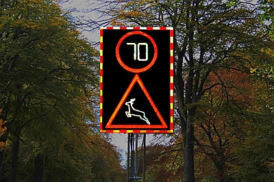 Wildwarndisplay Bundesstraße 504