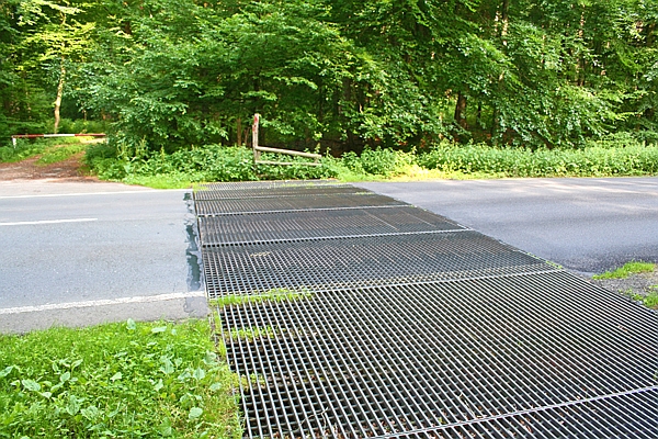 Gitterrost gegen unkontrolliertes Auswechseln des Wildes