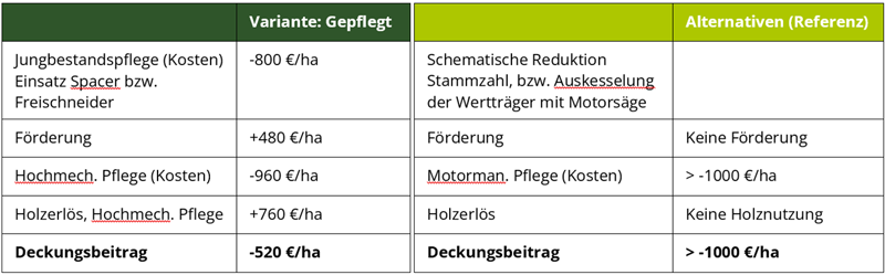 Ökonomische Einordnung hochmechanisierter Bestandespflegemaßnahmen 